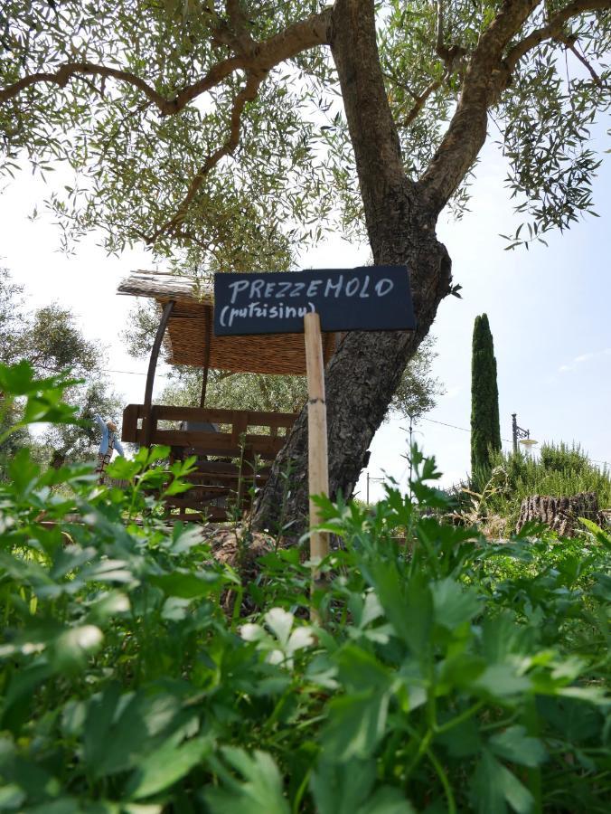 Вілла Pantalica Ranch Agriturismo Siciliano Sortino Екстер'єр фото