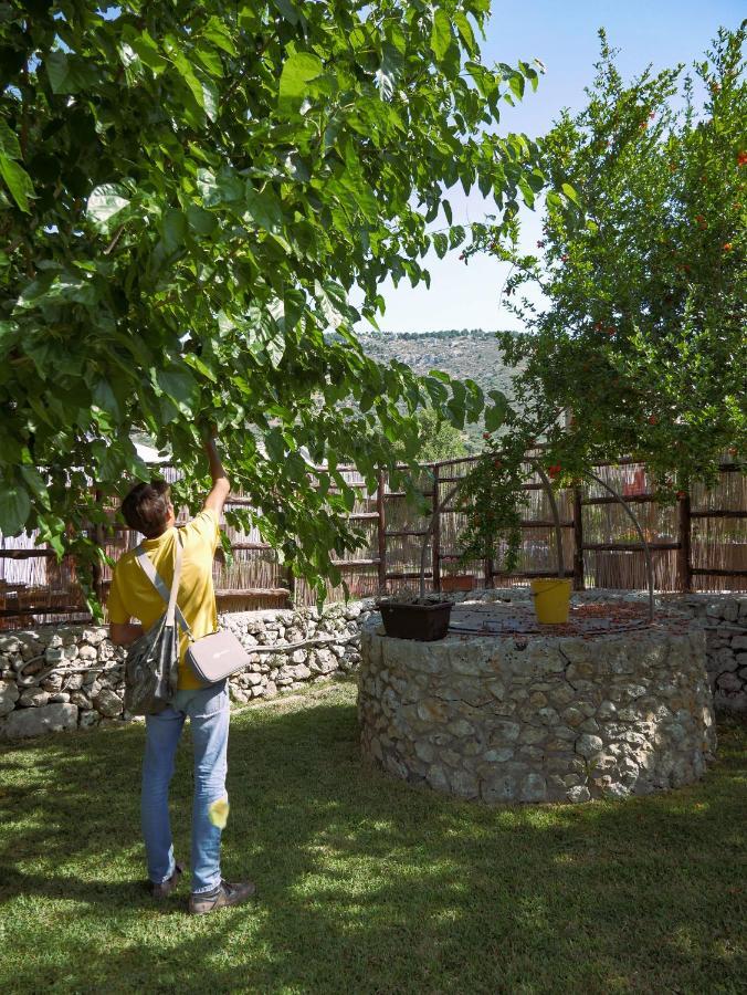 Вілла Pantalica Ranch Agriturismo Siciliano Sortino Екстер'єр фото